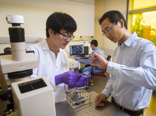 graduate student and Jun Yao working together in his lab