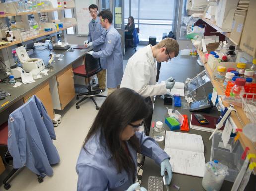 Image of a lab with busy researchers working a benches