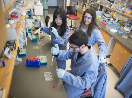 3 individuals working at lab bench