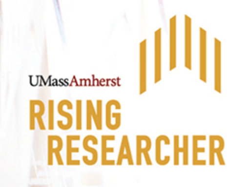 Rising Researcher logo