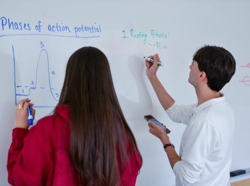 Two students draw on a board in a classroom at the University of Massachusetts